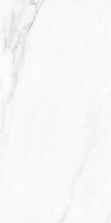 Carenza Bianca Polished 12 x 24